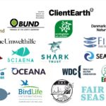 Joint NGO feedback to the European Commission on the “Sustainable fishing  in the EU: state of play and orientations for 2024” consultation - Oceana  Europe