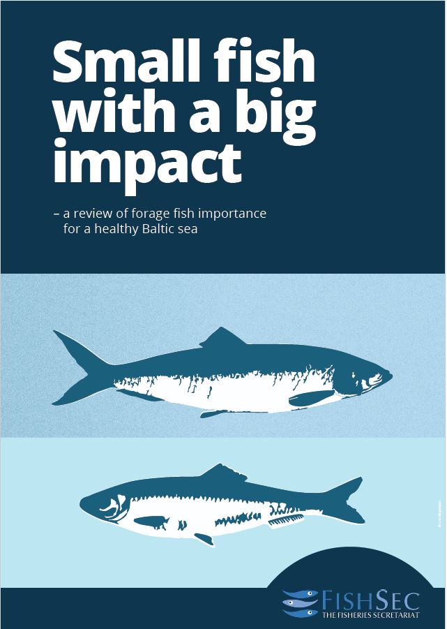 Fish Sec Report: Small fish with a big impact – FishSec